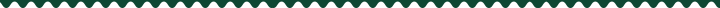 img_zigzag_header