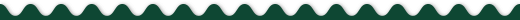 img_zigzag